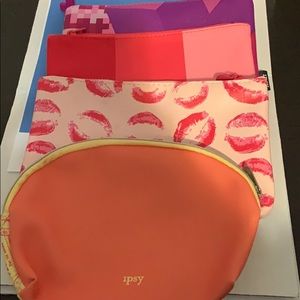 Ipsy cosmetic bags